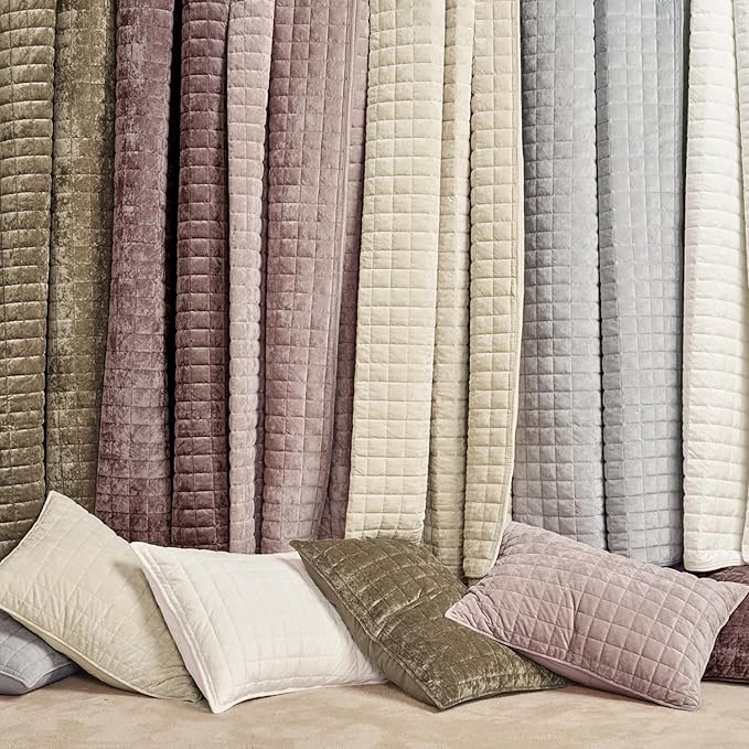 RECYCO Luxury Velvet Quilt Set Full Queen Size Bedding Sets, Ultra Soft Velvet Comforter Set, Lightweight Channel Box Stitch Oversized Bedspread Coverlet for All Season, with 2 Shams, Beige