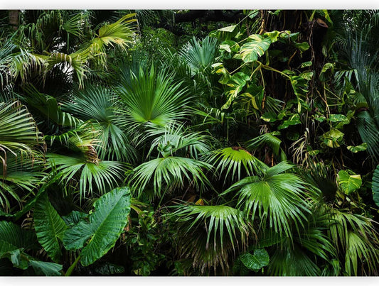 artgeist Premium Wall Mural Tropical 79x55 in - XXL Non-Woven Wallpaper Fleece Wall Decor Photo Print Picture Image Design Home b-B-0312-a-a