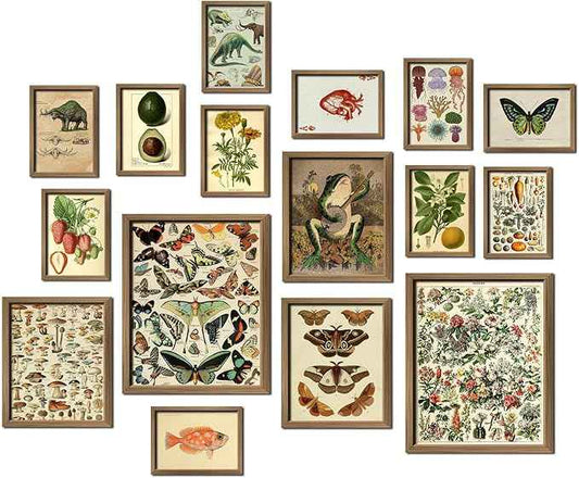 16 PCS Vintage Wall Art Decor, Botanical Cottagecore Wall Collage Kit for Bedroom, Farmhouse Posters for Room Aesthetic, Wall Prints Pictures for Living Room, Rustic Dorm Gallery Home Decor