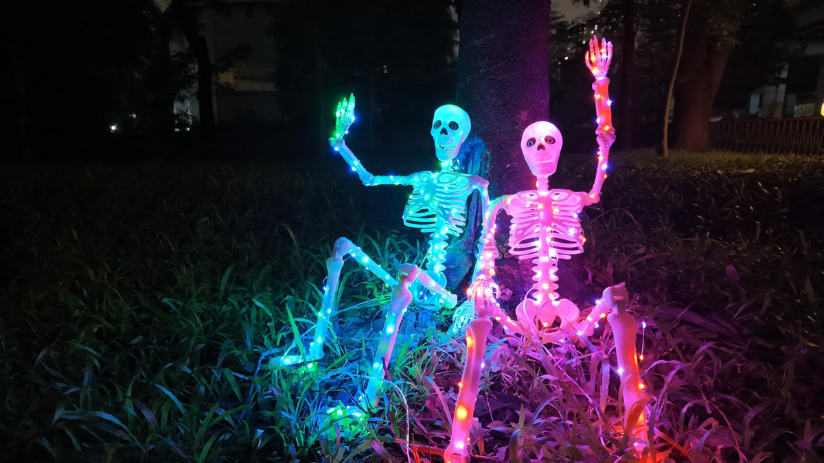 2Pack 36" Halloween Light up Skeleton Decor Outdoor (Blue&Green+Orange&Purple)
