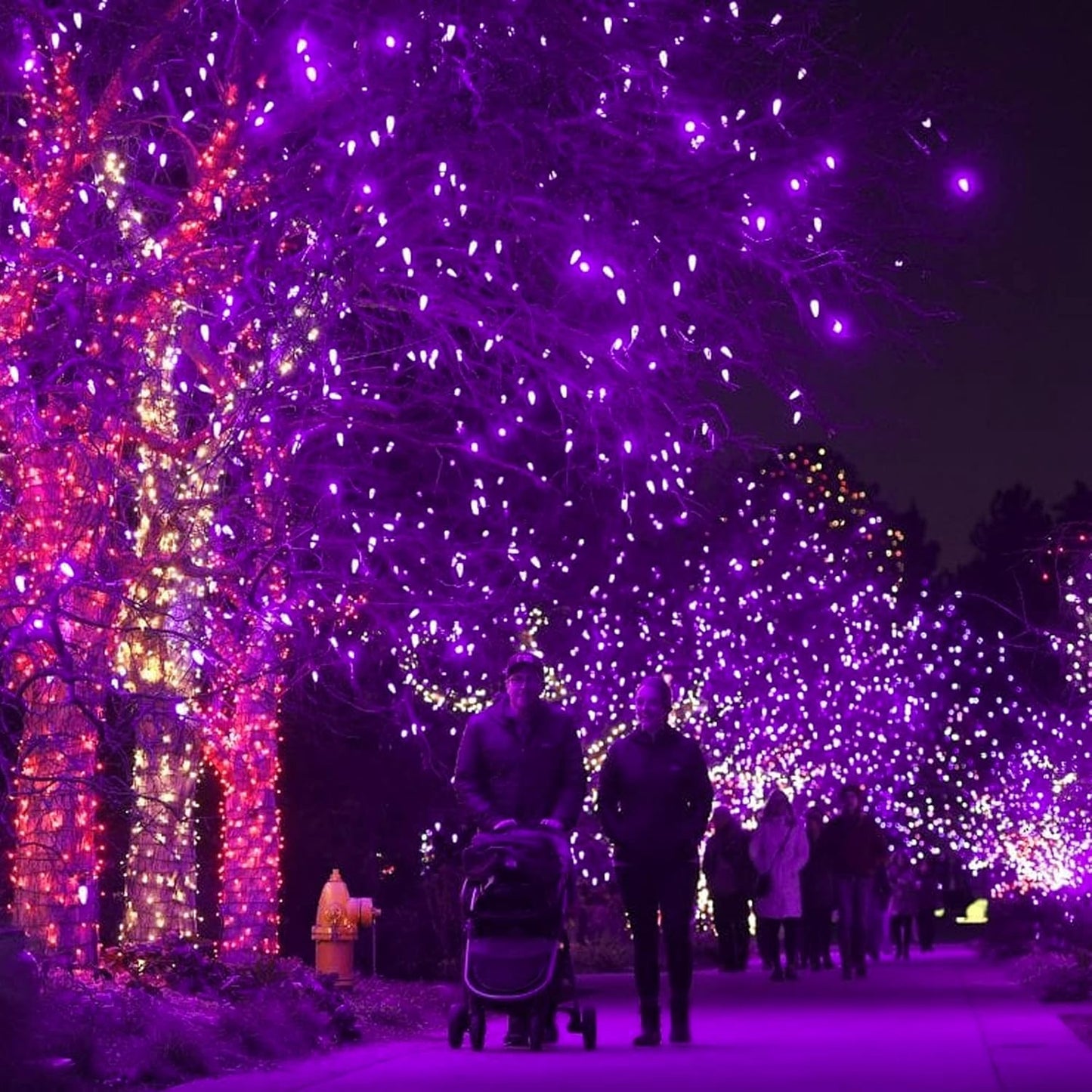 DAZZLE BRIGHT Halloween 300 LED String Lights, 100FT Connectable String Lights with 8 Lighting Modes, Halloween Decorations for Party Carnival Supplies, Indoor Outdoor Yard Garden Decor (Purple)
