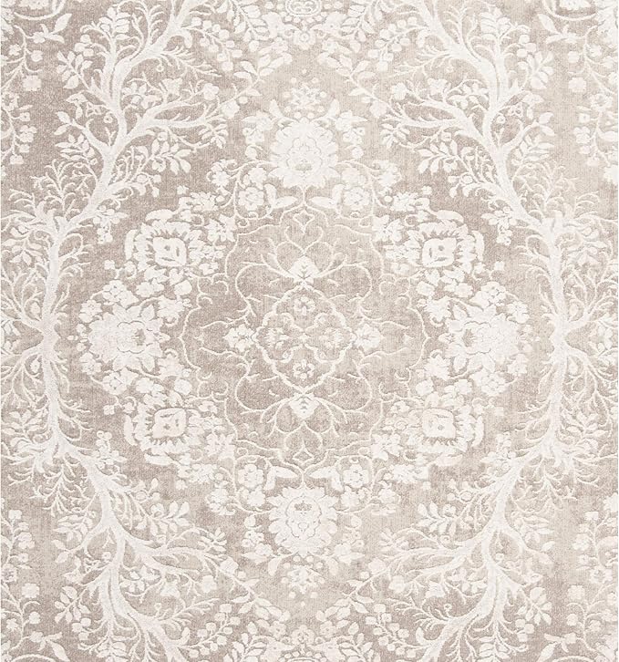 SAFAVIEH Area Rug 4x6 - Reflection Collection - Beige & Cream, Non-Shedding & Easy Cleaning, Ideal for Entryway, Living Room, Bedroom (RFT668A)