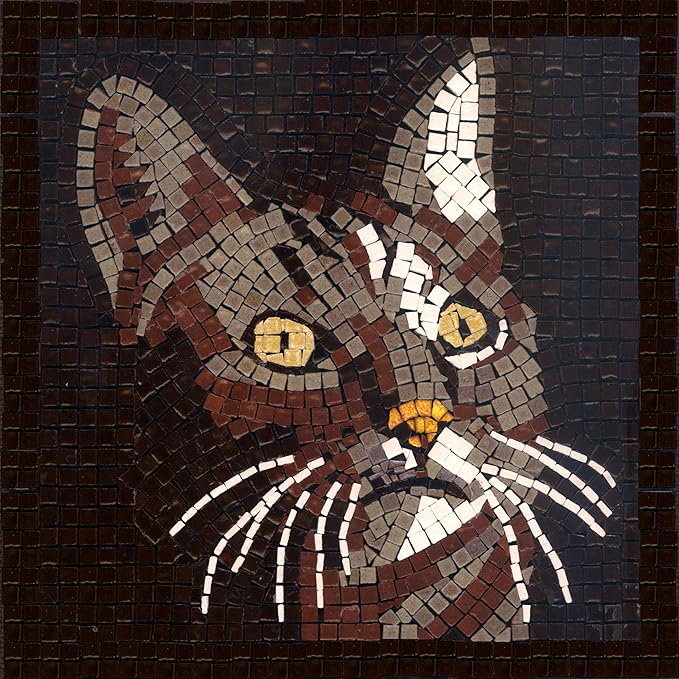 Tile Mosaic Craft Kit for Adults: Make Your Own Beautiful Art Piece, Square 7inch (20cm) Cat