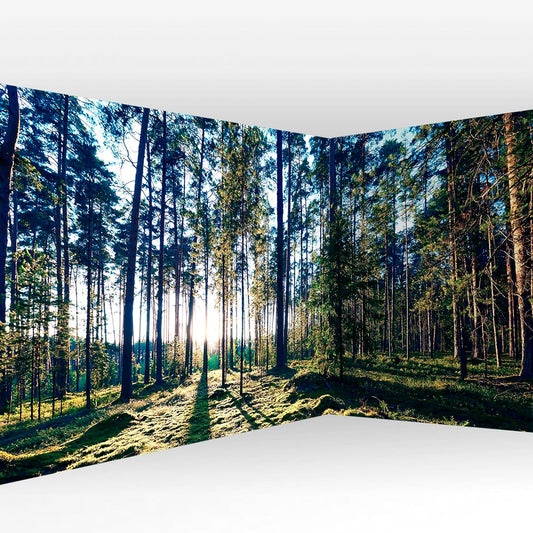 artgeist Wall Mural Peel and Stick Forest 212x98 in - XXL Self-Adhesive Corner Wallpaper Removable Large Sticker Foil Angle Wallpaper Forest Trees Sunris c-B-10185-a-a