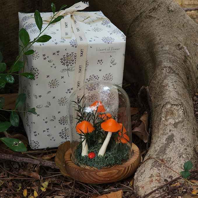Mushroom Lamp, Decor LED Light in Glass Dome with Base for Home Bedroom Decor Birthday with Birthday Valentines Anniversaries Gifts Box (Orange)