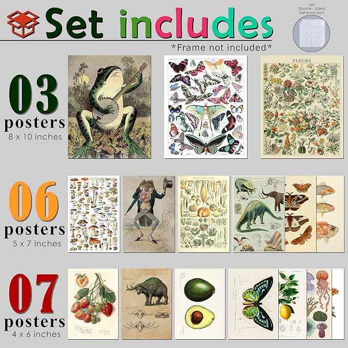 LANCHI95 16 Pcs Vintage Botanical Wall Art Set – Unframed Aesthetic Cottagecore Decor, Antique Frog, Mushroom, Butterfly & Floral Nature Prints - Gallery Wall Kit (3x 8x10", 6x 5x7", 7x 4x6") (UNFRAMED) Animal 2