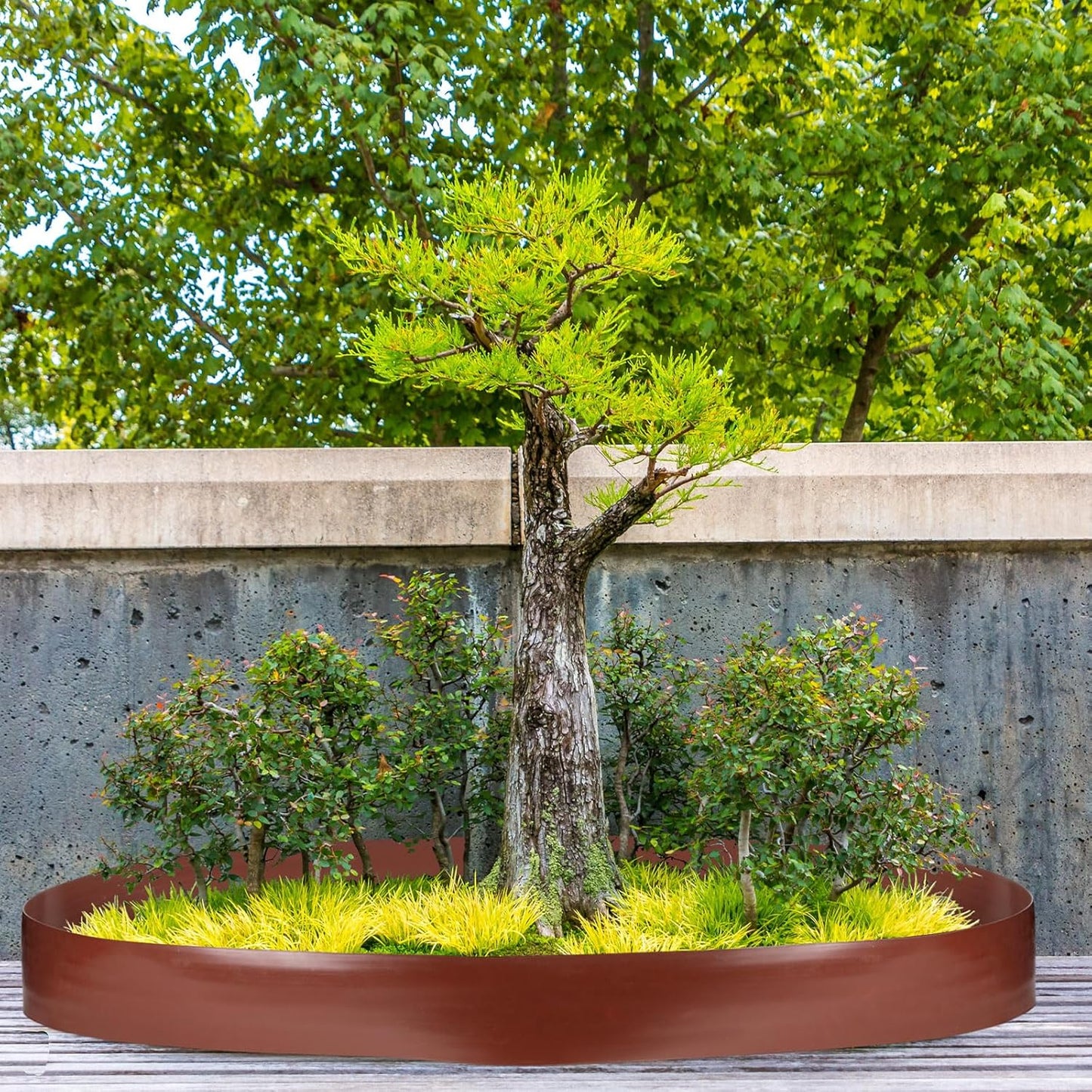 6 Inch Tall 33 ft Length Landscape Plastic Edging Kit with Hammer Spikes Plastic Garden Flower Bed Edging Landscape Border for Gardens Border Grass Yard Lawn (Brown)