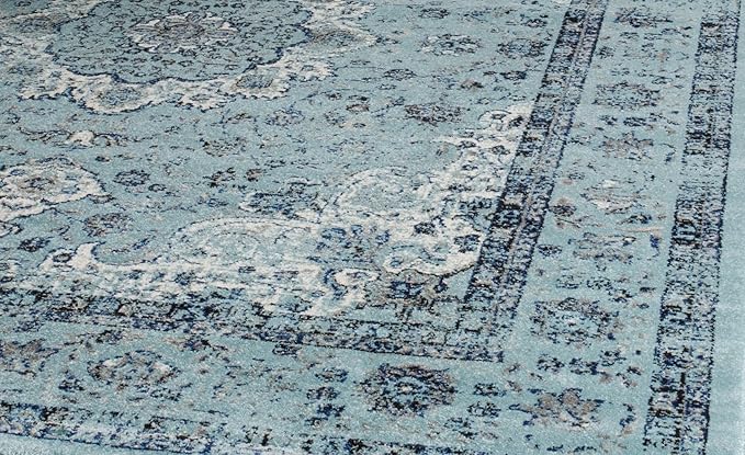 SAFAVIEH Area Rug 9x12 - Evoke Collection - Large - Light Blue, Shabby Chic Oriental Medallion Design, Non-Shedding & Easy to Clean, Ideal for Living Room, Bedroom, Dining Space (EVK220E)