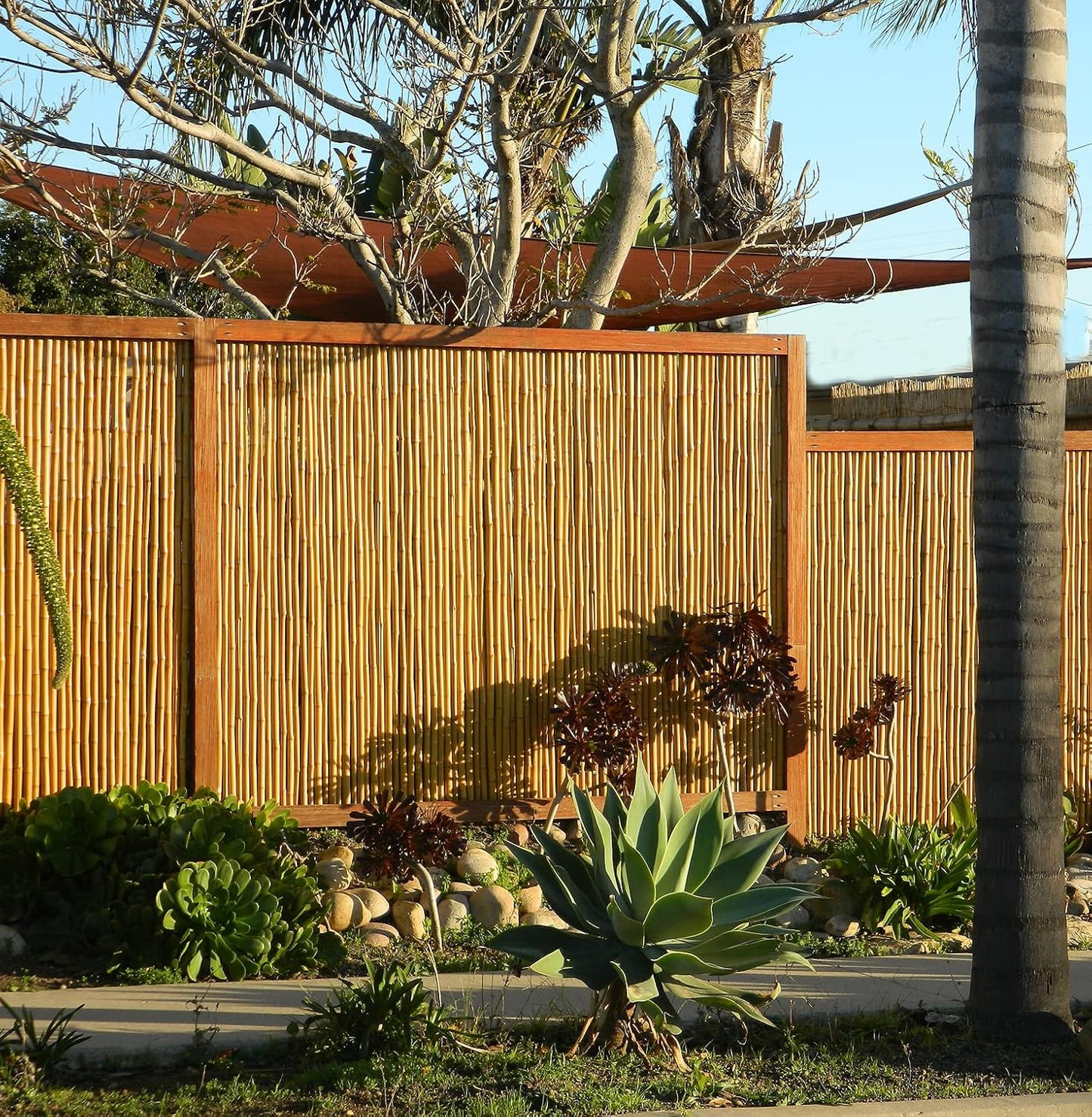 Backyard X-Scapes Natural Bamboo Fencing Decorative Rolled Fence Panel 0.75 in D x 3 ft H x 8 ft L